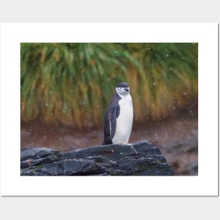 CHINSTRAP PENGUIN IN THE FALLING SNOW Posters and Art